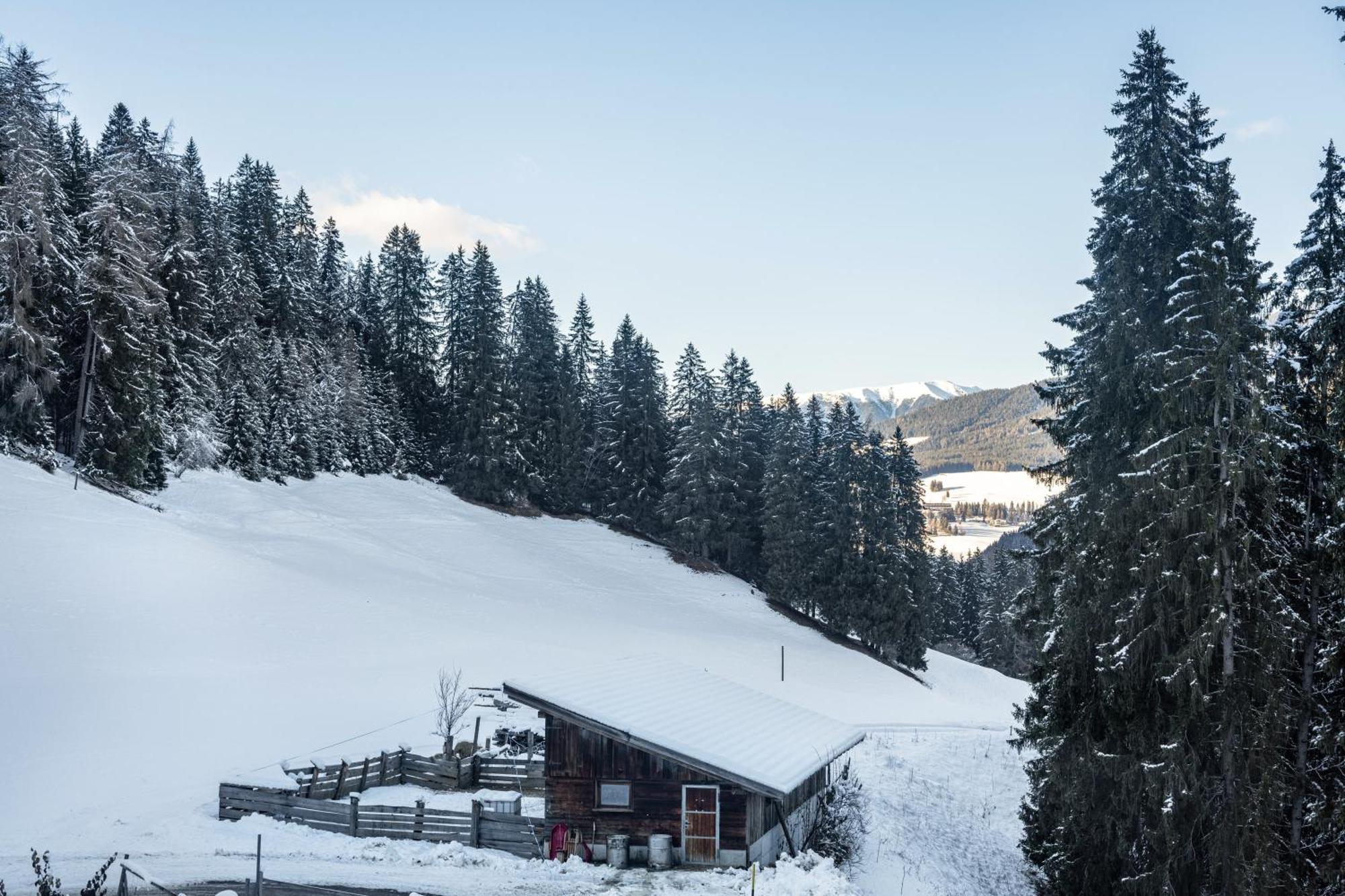 Lechnerhof Apt 1 Брайес  Экстерьер фото
